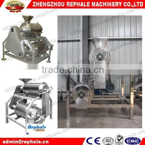 Double Channel Fruit Beating Machine With High Quality thumbnail-1
