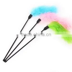Teaser Wand Cat and Kitten Toy Pet Stick Colorful Feather thumbnail-1