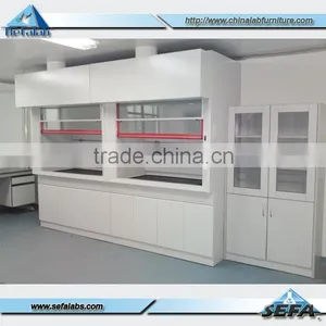 Laboratory Apparatus All Steel Fume Hood thumbnail-1
