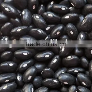 Supply Black Beans With Best Price and Good Quality for Sale thumbnail-6
