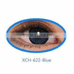 GEO XCH Violet Color Contact Lens Korea Color Contact Lens Authentic Geo Circle Lens thumbnail-4