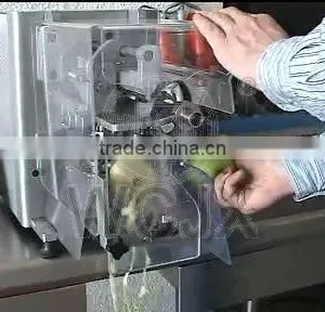 Automatic Apple Peeling and Slicing Machine thumbnail-5