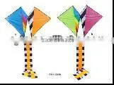 Kites thumbnail-1