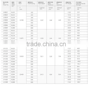 A Big Promotion Hoisting Chain Leaf Chain LL4088 thumbnail-2