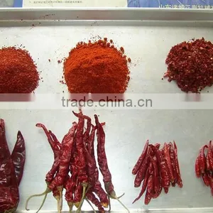 Red Chili thumbnail-6