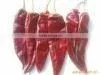 Meiguohong Chilli thumbnail-1
