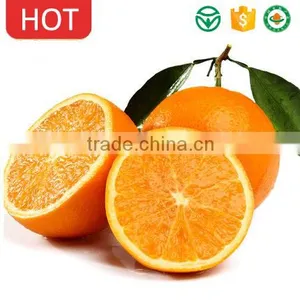 Best Price Fresh Fruit Navel Orange thumbnail-1