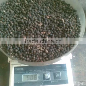 BLACK PEPPER FROM VIETNAM thumbnail-1