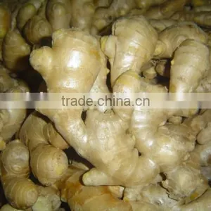 Fresh Washed Ginger thumbnail-1
