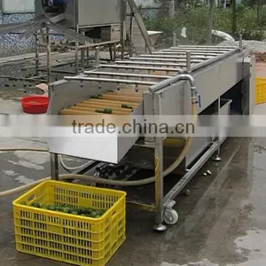 Hp-360 Industrial Vegetable And Fruit Cleaning Washer Machine thumbnail-3