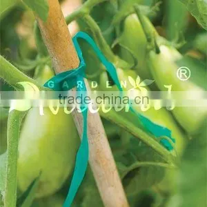Stretch Tie Tape (tie Tape) thumbnail-1