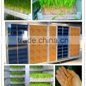 13. HRSD-100 M Automatic Bean Sprout Machine / Bean/ Barley Sprout Making Machine 0086 15138918451 thumbnail-1