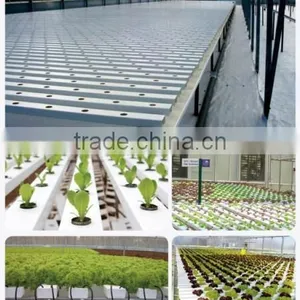 PVC Channel Greenhouse Hydroponic NFT 100x50mm thumbnail-6
