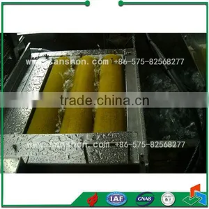 China Industry Fruit Washing Machine thumbnail-4