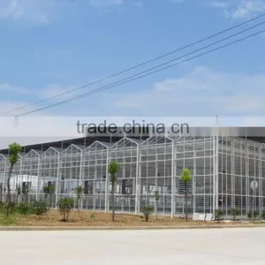 Glass Greenhouses China thumbnail-1