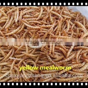 Pet Food Microwave Dried 2.5--2.8 cm Tenebrio Molitors thumbnail-5