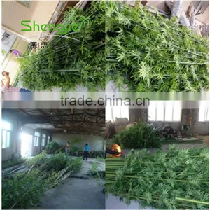 SJLJ013723 High Quality Artificial Bamboo Stick Plastic Evergreen Bamboo Plant thumbnail-1