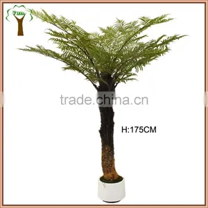 Artificial Spinulose Fern Tree for Landscape Project Using thumbnail-1