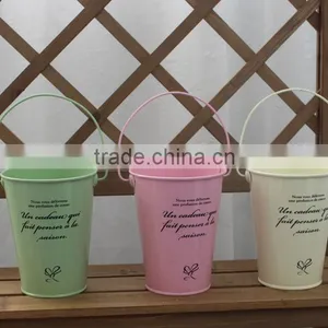 Antirust Small House/Garden Decoration Metal Flower Pot Bucket thumbnail-1