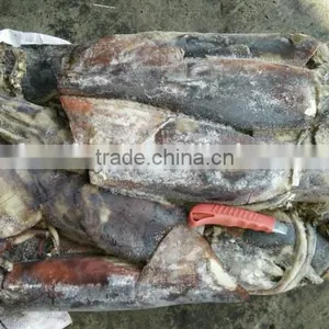 Peru Squid by Jigger thumbnail-1