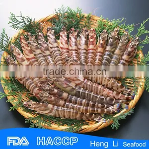Frozen Banded Shrimp thumbnail-1