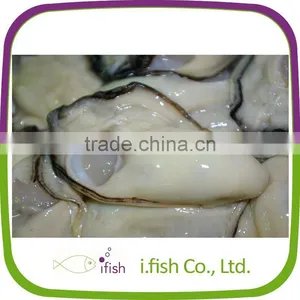 Oyster thumbnail-1