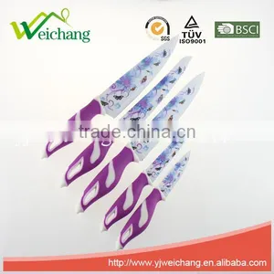 WCE568 5 Pcs Set Kitchen Knives Artwork Painting Blade PP+TPR Handle , Hot Sale, Wholesale thumbnail-1