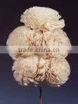 CHORKY GROOV Diffuser Flower thumbnail-1