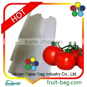 Fruit Growing Bag for Agriculture Tomato Bag thumbnail-1