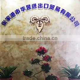 Zhangjiagang Huayu Import & Export Co., Ltd. company overview - view 1 thumbnail