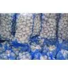 Garlic in Mesh Bag thumbnail-1