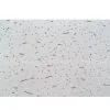 Mineral Fiber Boards All Sizes thumbnail-1