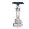 Forged Steel Cryogenic Globe Valve(sale@bjvalves.com) thumbnail-1