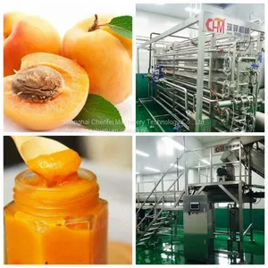 Apricot Paste Processing Line thumbnail-1