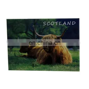 Paper Tin Scotland Yak Souvenir Refrigerator Magnets thumbnail-1