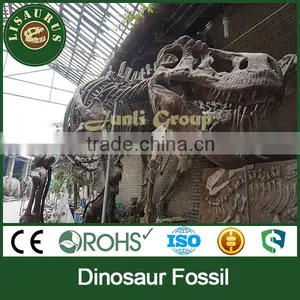Lisaurus-C-Nice Dinosaur Skeleton Fossil thumbnail-3