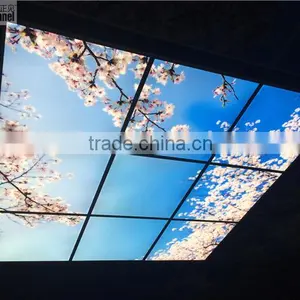 2015 Japanese Style Sakura Sky Ceiling Panel thumbnail-4