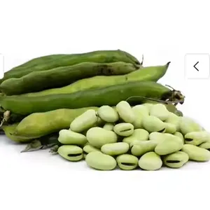 Genyond Factory Industrial Green Bean Pigeon Pea Peeling Equipment Peeling Machine Peeler thumbnail-4