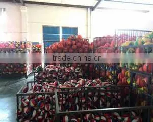 Guangzhou Sonix Light International Trade Corp. Limited company overview - view 2 thumbnail