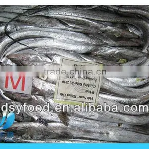 Frozen Iranian Ribbon Fish WR thumbnail-3