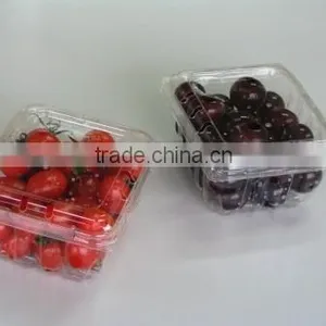 PET Beautiful Plastic Transparent Box for Fruits thumbnail-1