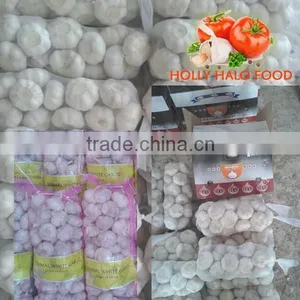 3P MESH BAG 10KG Packings CARTON Normal White Russia East Europe Fresh Garlic Middle East Pakistan 5.5CM 6.0 CM thumbnail-1