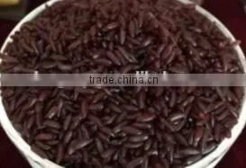 Hot Sale Instant /nutritional /artificial Rice Production Line/extruder Machine thumbnail-5