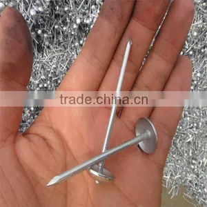 Twisted Shank Galvanized Umbrella Head Roofing Nails thumbnail-5