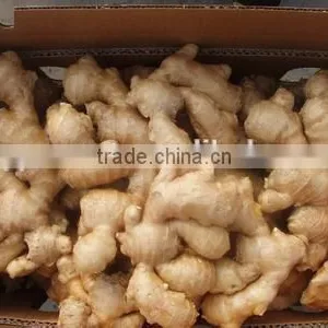 New Crop Crystal Ginger With Competitive Export Price thumbnail-1