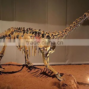 HLT Handmade Dinosaur Skeleton Fossil of Bellusaurus thumbnail-1