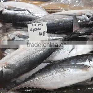 HORSE MACKEREL thumbnail-2