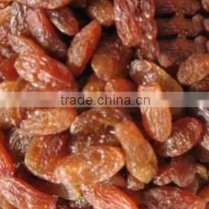Chinese Sultana Raisin thumbnail-1