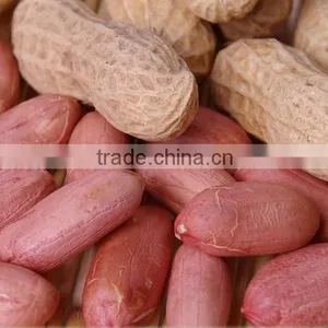 Wholesale Roasted Red Skin Peanut thumbnail-2