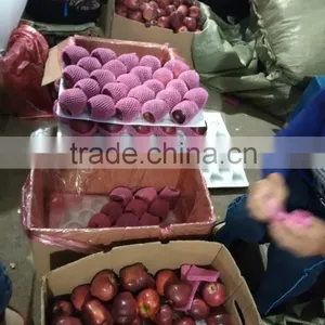 Red Delicious Apple/ Huaniu Apple thumbnail-1